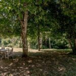garden view with trees and outdoor table with chairs in the shade of the garden
